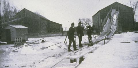 ice harvest